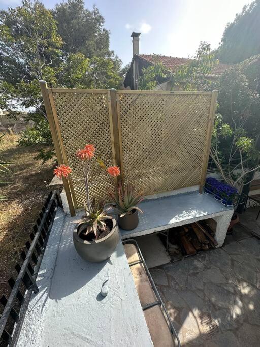 Caja De Anthea Villa Artemida  Bagian luar foto