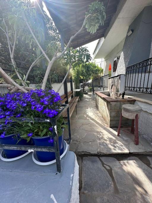Caja De Anthea Villa Artemida  Bagian luar foto